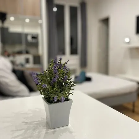 Renting - Cambrai02 - Sea View - Ac - Promenade Des *